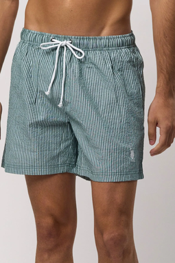U.S. POLO ASSN. Briggs Swim Shorts Mediterranea