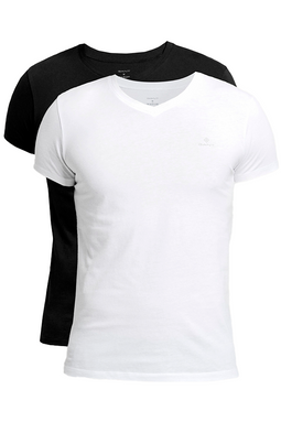 GANT 2-Pack V-Neck Tee Regular Fit Multi