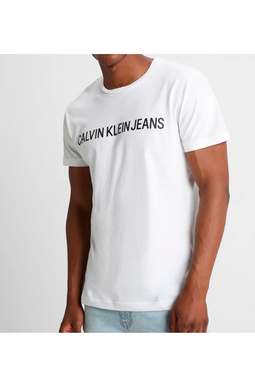 Calvin Klein Institutional Logo Slim Tee Snow