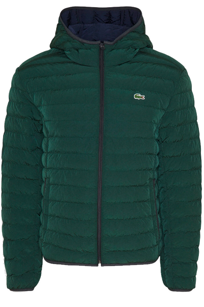 Kostumer Seaport kartoffel Lacoste Hooded Puffer Jacket Green – Luxivo